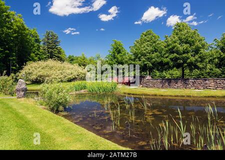 Pond planted with Typha latifolia - Cattail, yellow Iris pseudacorus 'Variegata' flowers bordered with Salix - Willow shrubs and red adirondack chairs Stock Photo