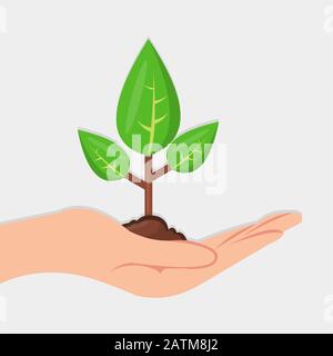 hand holding plant for eco friendly symbol vector illustration Stock Vector