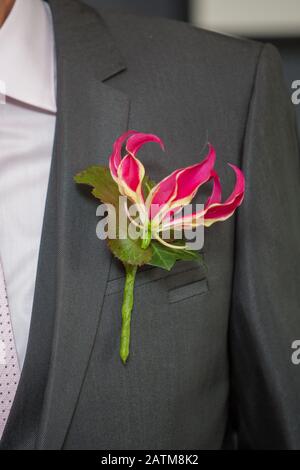 Colorful Pink orchid as a boutonniere in a Dark Groom Suit Stock Photo