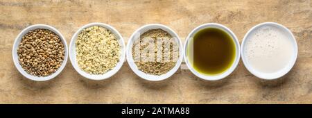 collection of hemp seed products: hearts, protein powder, milk and oil in small white bowls against textured bark paper, panoramic banner, superfood c Stock Photo