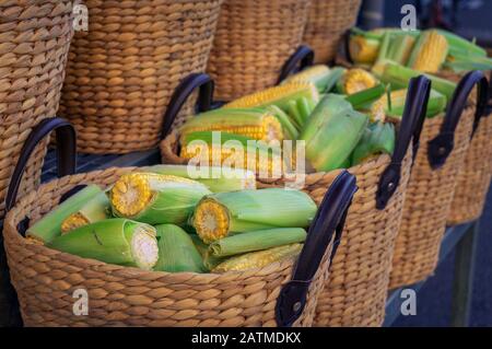 Cobs of sweet corn, corncobs in weaved baskets for sale on farmers market. Fresh organic produce store display Stock Photo