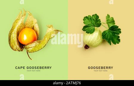 Creative layout with fresh gooseberry and physalis fruit on colorful background. Healthy eating and food concept. Summer and winter fruits and berries Stock Photo