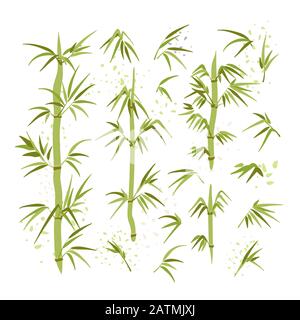 Vector illustration of bamboo leaves, stems, brunches. Green ecology environmental set of East Chinese and Japanese plant. Spa and ecology Bamboo Stock Vector