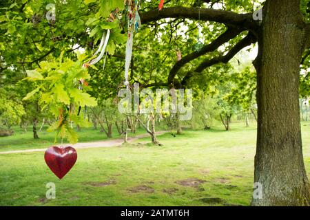 Derbyshire,  UK – June 03 2016: Offerings tied to a sacred memorial Oak tree that stands beside Nine Ladies stone circle on Stanton Moor Stock Photo