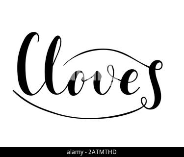 Vector hand written cloves text isolated on white background. Kitchen healthy herbs and spices for cooking. Script brushpen lettering with flourishes. Stock Vector