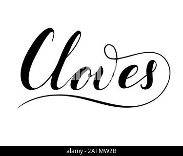 Vector hand written cloves text isolated on white background. Kitchen healthy herbs and spices for cooking. Script brushpen lettering with flourishes. Stock Vector