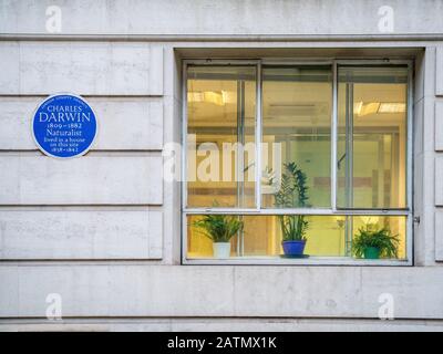 Charles Darwin Blue Plaque on the Biological Sciences building of University College London. Darwin lived in a house on this site between 1839 & 1842, Stock Photo