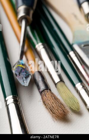 Artistic art supply utensils with paintbrushes on white canvas background with selective focus Stock Photo