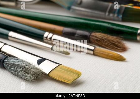 Artistic art supply utensils with paintbrushes on white canvas background with selective focus Stock Photo