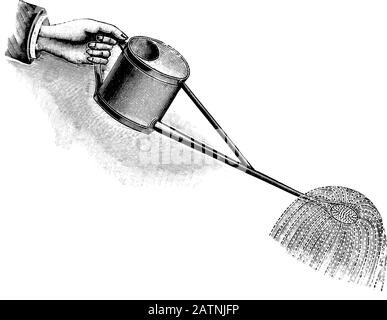 Antique vintage line art illustration, engraving or drawing of hand holding garden watering can. From book Plants in Room, Prague, 1898. Stock Vector
