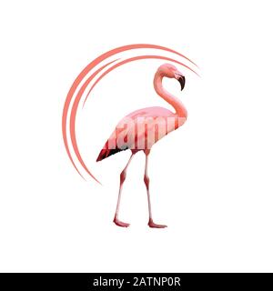Pink flamingos. Cute flamingo animal exotic nature wild fauna zoo bird beak plumage legs tropical african beach art, cartoon vector Stock Vector