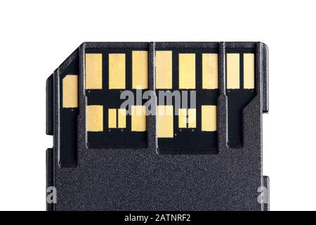 Macro photo of two rows of golden contacts on back of UHS-II high speed memory card isolated on white background close up. Concept of fast modern memo Stock Photo