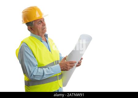 Old engineer man with serious expression looking at plans isolated on white background Stock Photo