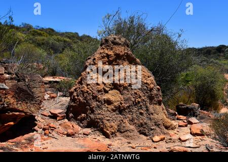 Australia, termite mound in Kalbarri National Park Stock Photo