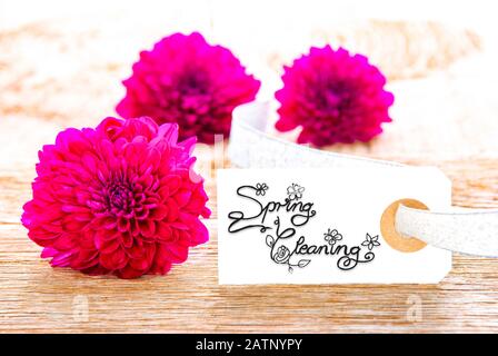 One Label With English Calligraphy Spring Cleaning. Purple Flower Blossom On Wooden Background Stock Photo