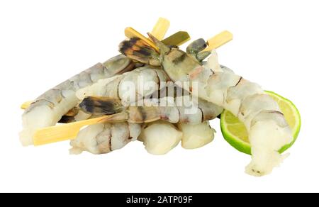 Group of fresh raw black king tiger prawns on wooden skewers isolated on a white background Stock Photo