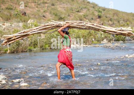 rural woman carrying firewood on head Stock Photo