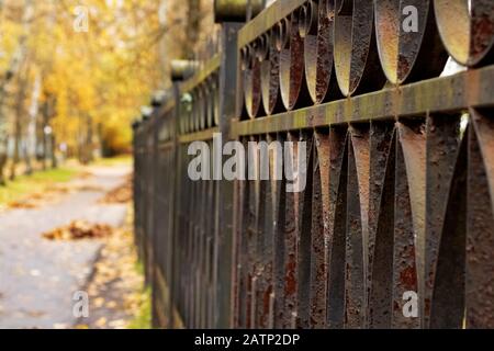 Old metal rusty fence in the autumn park close up Stock Photo