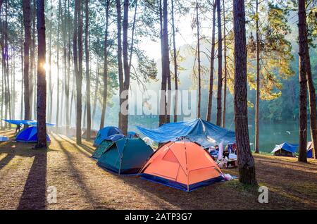 Adventures Camping tourism and tent under the view pine forest landscape near water outdoor in morning and sunset sky at Pang Oung, Royal Forest Park, Stock Photo
