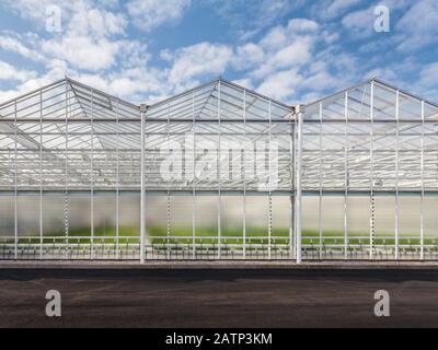 Front view of a new greenhouse in The Netherlands Stock Photo