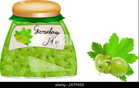Glass jar with preserve jam isolated on white background. Jam in a jar, made of ripe gooseberry. Fresh berries with leaves. Label for jam. Vector Stock Vector
