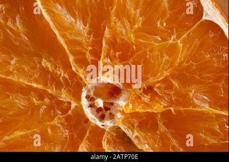 Cut orange segment starting to dry out revealing texture in the flesh and pith Stock Photo