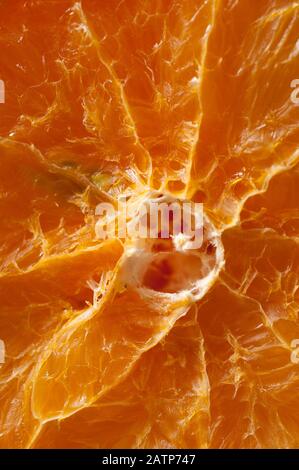 Cut orange segment starting to dry out revealing texture in the flesh and pith Stock Photo