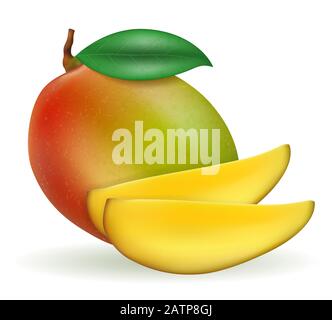 mango fresh ripe exotic fruit vector illustration isolated on white background Stock Vector