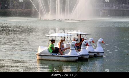 Tourists pedal paddle boats shaped like a duck on the lake in Lumphini Park in central Bangkok, Thailand, Asia. Stock Photo