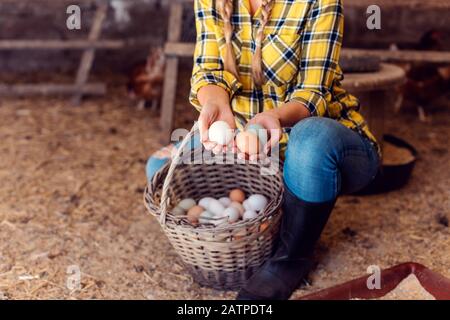 Proud chicken farmer showing the eggs her hens produced Stock Photo