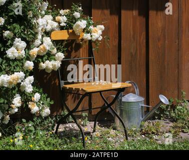 Tool shed with roses and chair Stock Photo