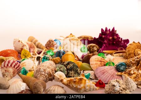 The seabed where the sea treasure lies. Beautiful shells with multi-colored crystals and gems. Sea shells on a white background. The dream of any Stock Photo