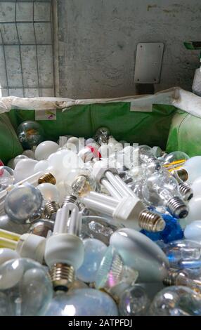 A selective focus view of a large recycling bin filled with many different size and color light bulbs Stock Photo