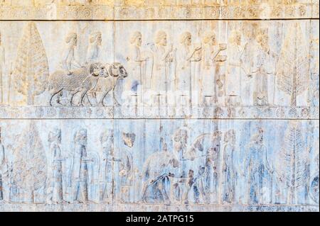 Persepolis, Apadana stairway facade, Ancient relief of the Achaemenids, Medes and Persians, Fars Province, Islamic Republic of Iran Stock Photo