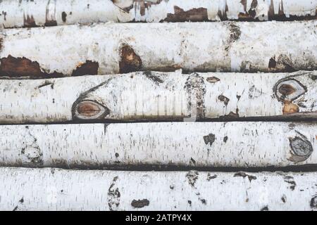 Stack of birch logs wooden background, close up Stock Photo