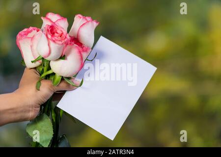 Valentine's Day Background. Women hand holding pink roses and empty white card for copy space on outdoor nature. Holiday card concept for birthday, we Stock Photo