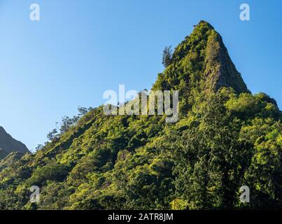 Steep tree covered mountain ridge rises above the Nu'uanu Pali lookout in Oahu Stock Photo