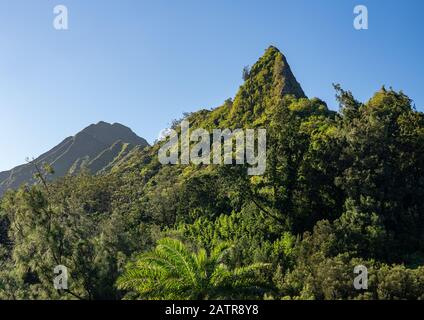 Steep tree covered mountain ridge rises above the Nu'uanu Pali lookout in Oahu Stock Photo