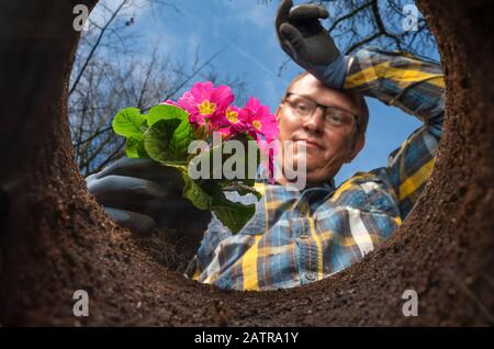 A man digs a plant in the garden - a perspective shot from below Stock Photo