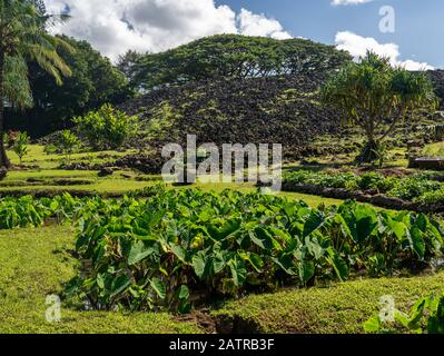 Ulupo Heiau historic hawaiian religious site near Kailua on Oahu, Hawaii Stock Photo