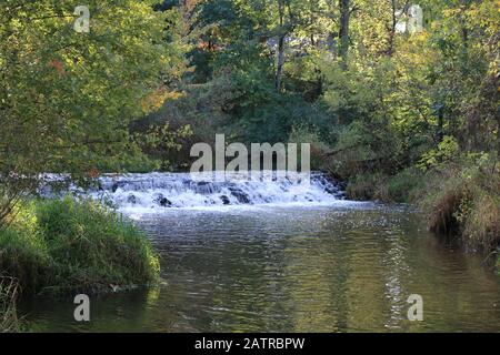 a brook or creek waterfall forest river Stock Photo
