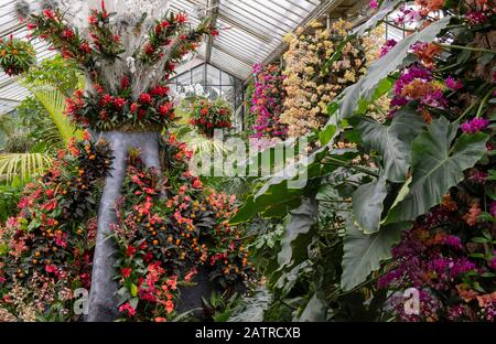 A display of tropical flowers in the shape of an Indonesian volcano at the Kew Orchid Festival 2020: Indonesia Stock Photo
