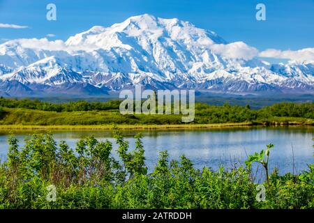 View of Denali and Reflection Pond taken from the park road while driving to Wonder Lake, Denali National Park and Preserve Stock Photo