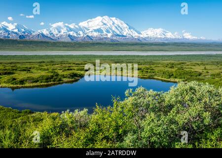 View of Denali and Reflection Pond taken from the park road while driving to Wonder Lake, Denali National Park and Preserve Stock Photo