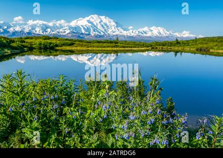 View of Denali and it's reflection in Reflection Pond taken from the park road while driving to Wonder Lake, Denali National Park and Preserve Stock Photo