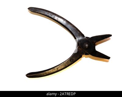 Pliers and cutters on a white background. Stock Photo