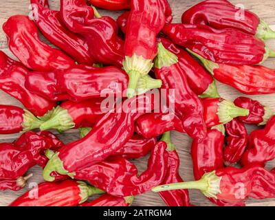Bunch of red Bhut Jolokia chili on wooden background