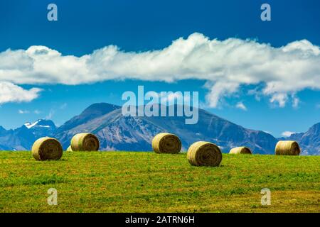 Hay bales on a hillside field with mountain range, clouds and blue sky in the background, near Waterton; Alberta, Canada Stock Photo