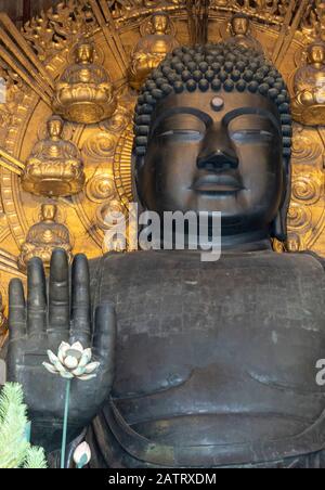 The world's largest bronze statue of the Buddha Vairocana,Todaiji temple, Nara, Japan Stock Photo