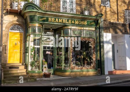 Bramble & Moss flower shop on Hill Rise in Richmond Upon Thames, Surrey, UK. Stock Photo